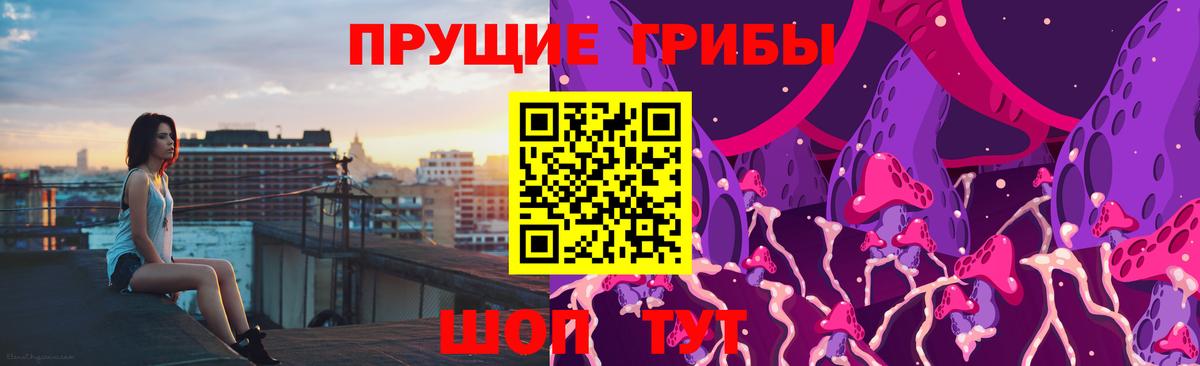 Тихвин  что такое наркотик  Вход с VPN  Псилоцибиновые грибы ЛСД  Псилоцибиновые грибы Cubensis 